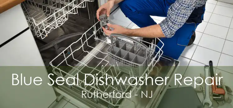 Blue Seal Dishwasher Repair Rutherford - NJ