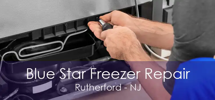 Blue Star Freezer Repair Rutherford - NJ